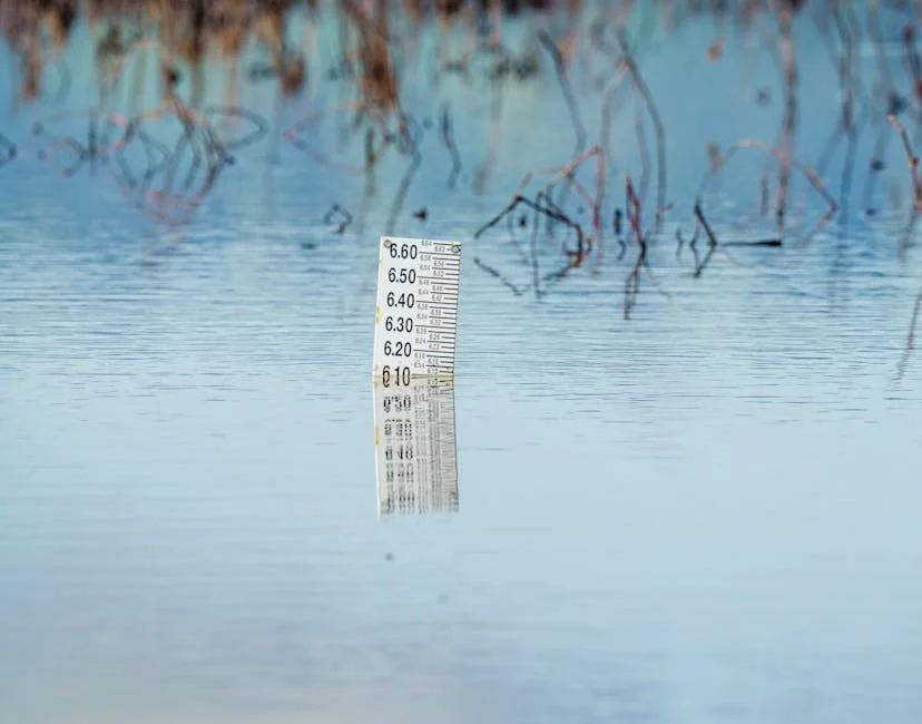 Sump Pump Failure: What to Do During a Flood